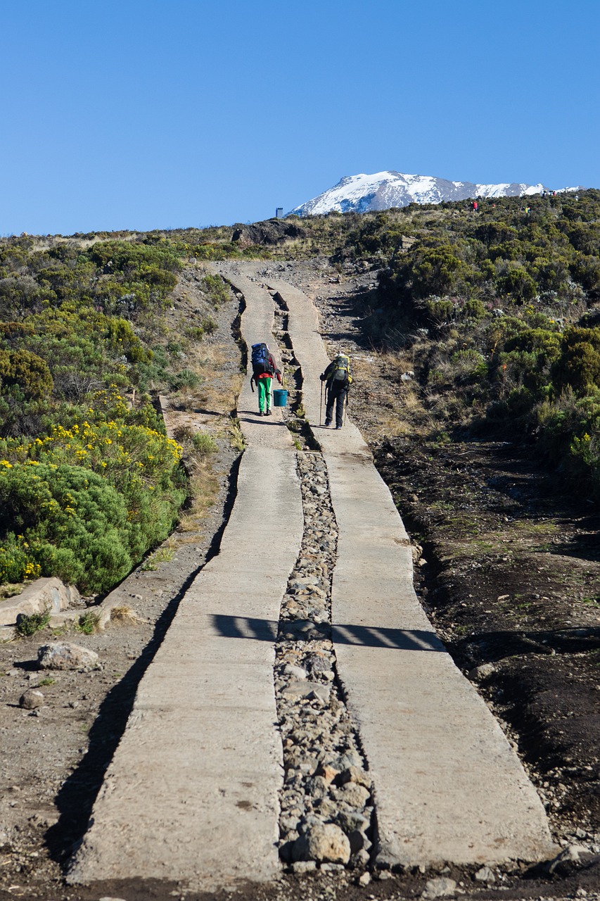 porters_daylight_climbing